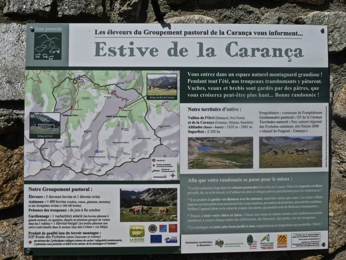 Peut être une image de carte et texte qui dit ’Zone pastorale Les éleveurs du Groupement pastoral de la Carança vous informent... Estive de la Carança entrez dans Pendant tout 'été, Vaches, veaux NedelaCarança espace naturel montagnard grandiose! troupeau transhumants pâturent. brebis sont gardes par des patres,q que vous croiserez peut-être plus haut... Bonne randonnee Notre territoire 'estive: Vallées l'Orri (Estamyul, Carança (Caлeca, (basse Superficle 2320 Fonts) Bassibés) 2881m Propriétaire: commune pastoral Fontpédrouse laCarança *Massif catalanes, Natura Puigmal Carança AAa Notre Groupement pastoral: Éleveurs éleveurs bovins Animaux éleveur ovins េល) Afin que votre randonnée juinà passe pour boviss păturani4 mieux gardker laciderespectereslikur lieus LAROSEE montagnc botre malcurcusemctl Merci! 海上’