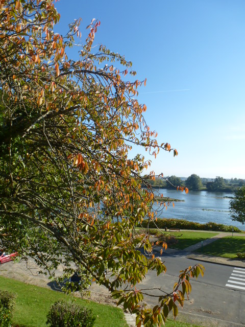 COULEURS D'AUTOMNE A BEAUGENCY