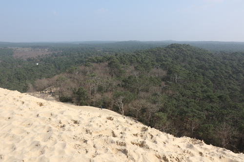 La dune du Pilat