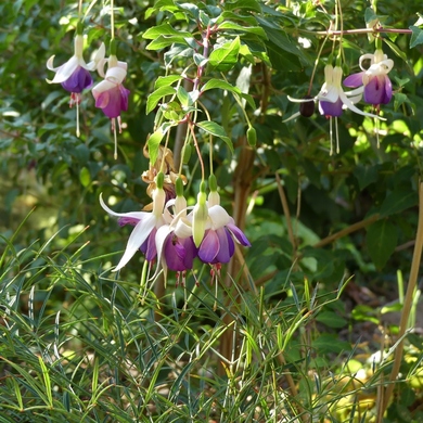 Retour sur le Troc Plantes 2018 au Jardin de Valérie...