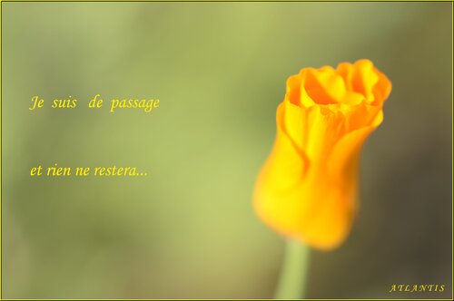 De passage...