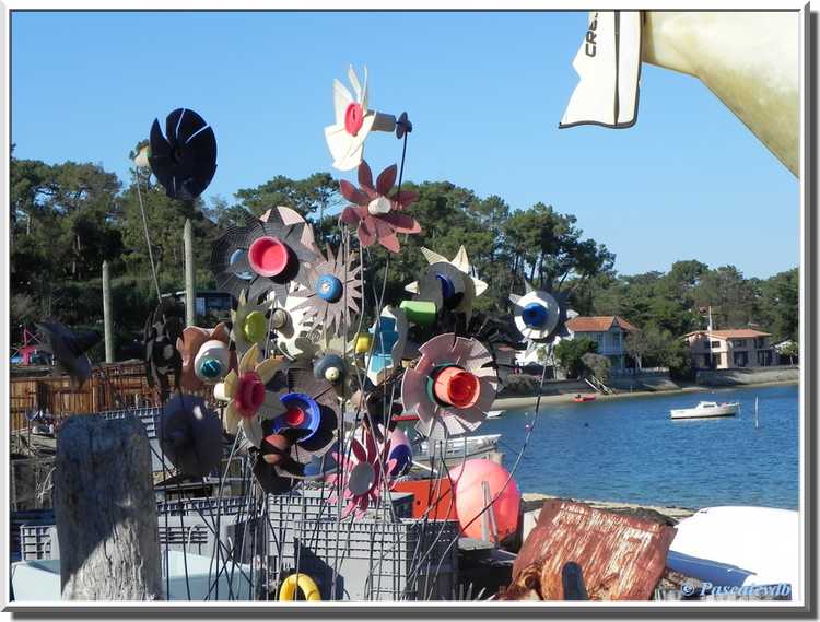 Village de L'Herbe sur le Bassin d'Arcachon