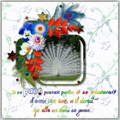 Pack Templates 12