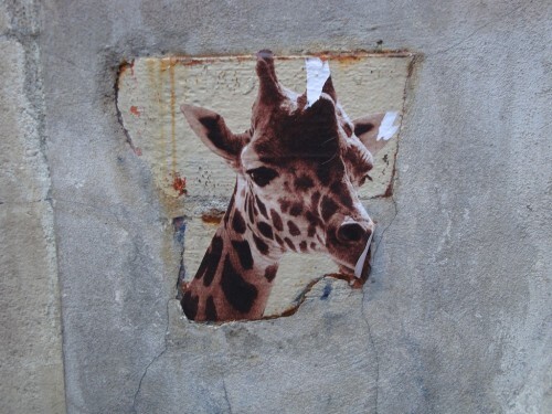 bestiaire girafe Street-art Beaubourg