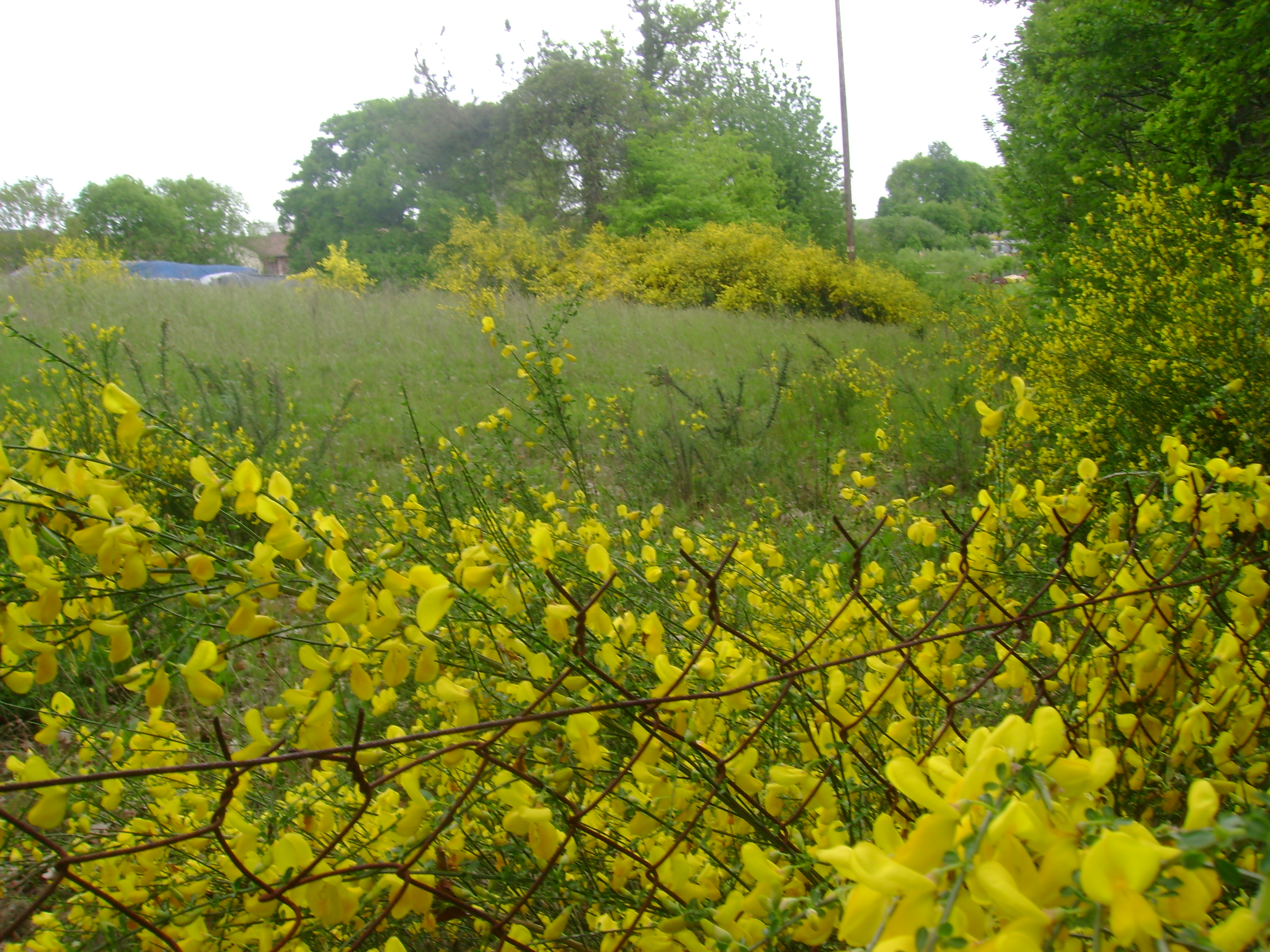 rencontres st junien