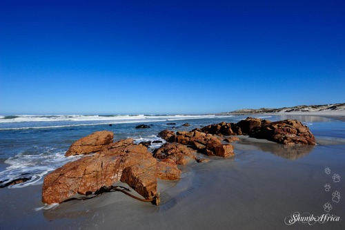 Namaqua National Park, again...