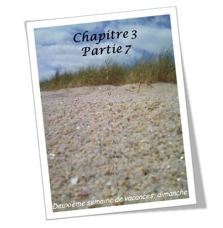 L'été où ma vie a basculée (chapitre 15)