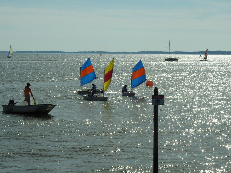 Voiles en liberté 2024 à Andernos - Régate d'Optimists...