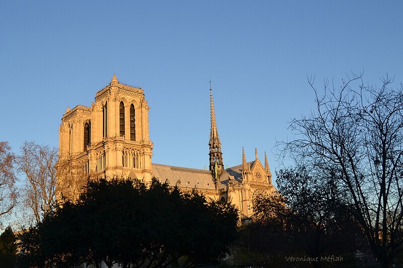 Histoire de Notre-Dame de Paris et une petite question ...