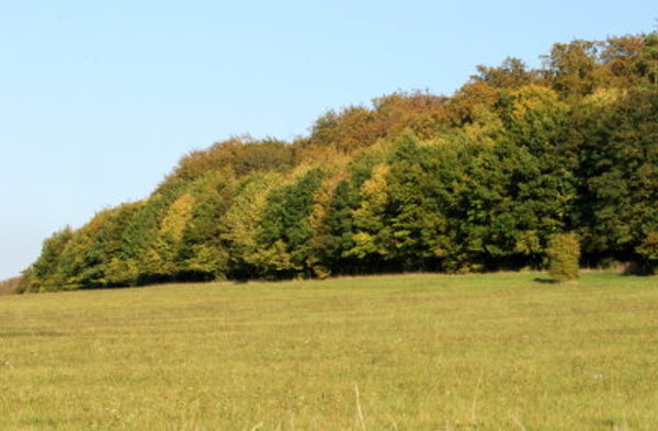 Laneuveville-dérrière-Foug - Automne