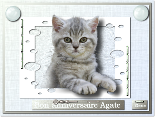 Carte anniversaire 2017