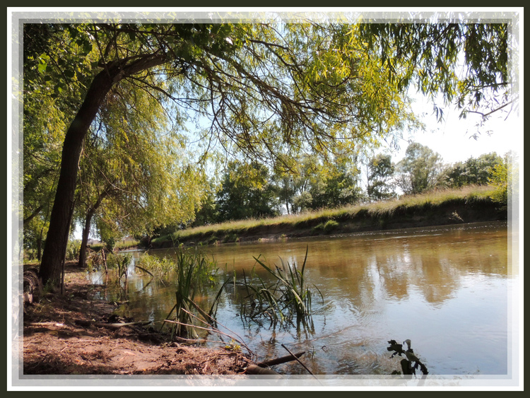 Sur le bord coule ma riviere