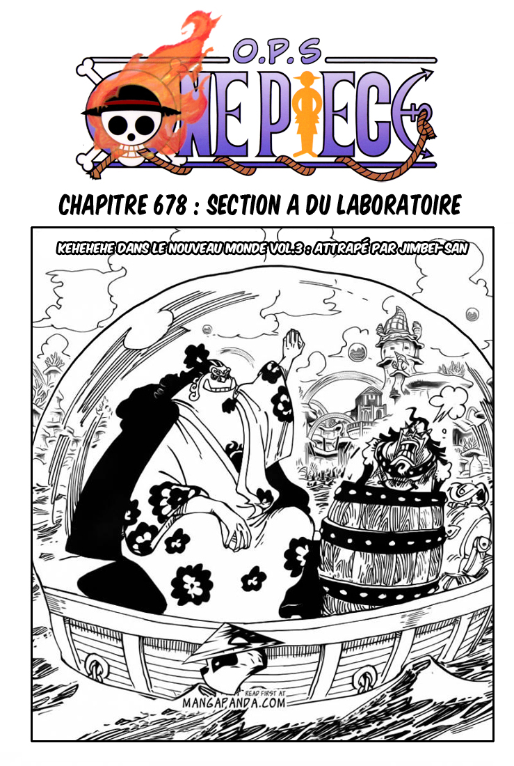 one piece rencontre avec brook vf