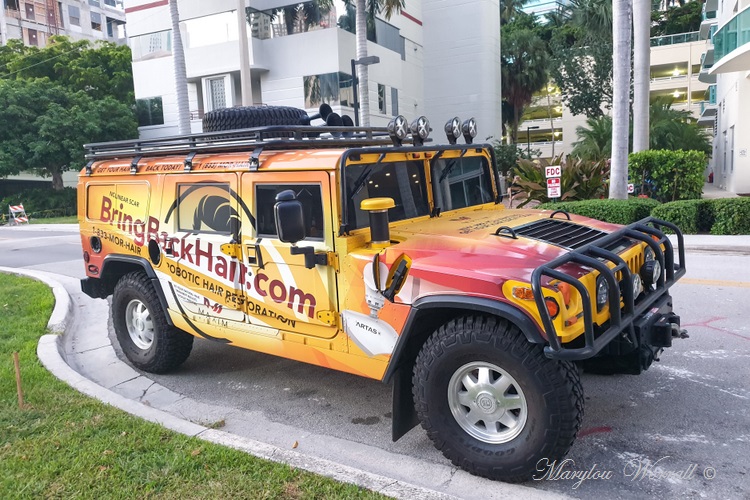Floride : Quelques véhicules et insolites