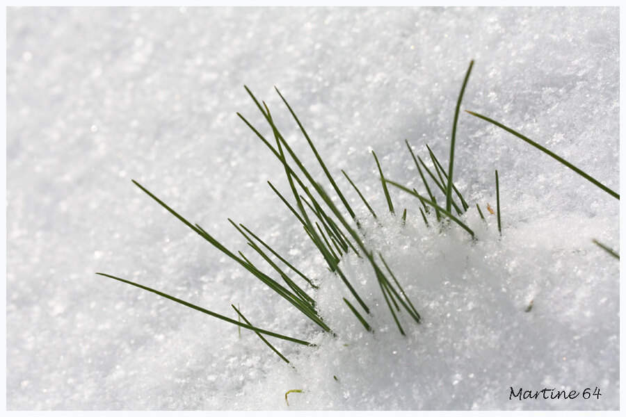 La neige est là