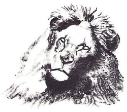 LE LION ET LE PETIT CHIEN (Tolstoï)
