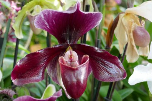 Le cartoscope du jeudi 7 juillet 2022