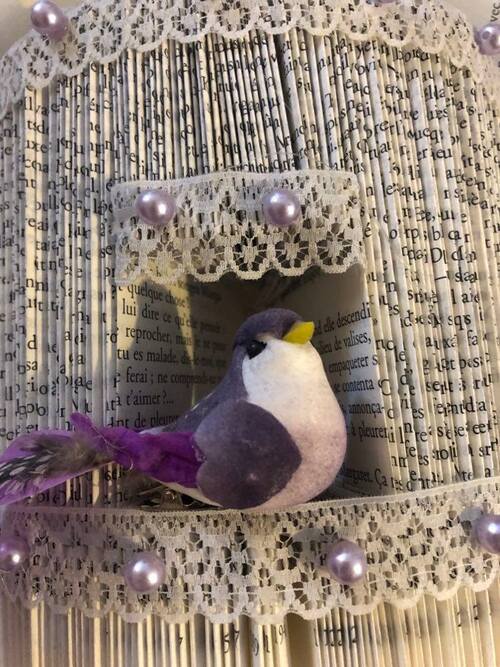 Cage oiseau violet