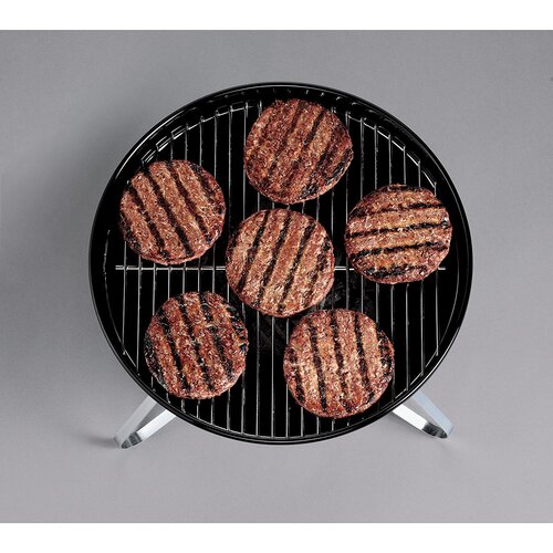 Gas Grill Clearance - Buy Electric, Charcoal and Propane Grills At Best Prices