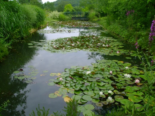 -Le jardin des eaux-