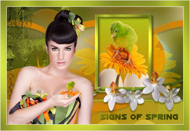 Tuto Sping Of Spring de Léa Design