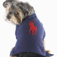 Ralph Lauren - Collection pour chiens - Tartangirl's Wardrobe