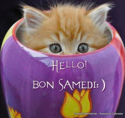 bon samedi