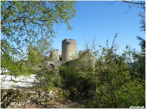 Le château de Roussillon