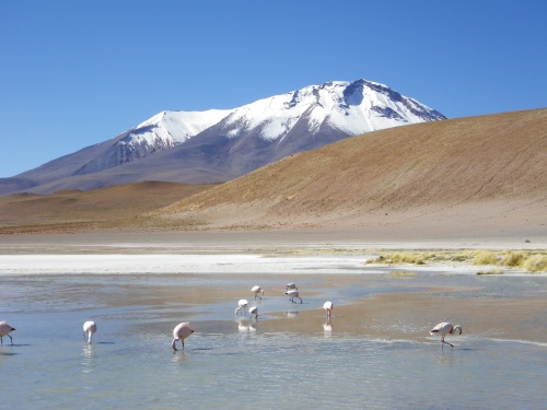 Mirages au Salar...