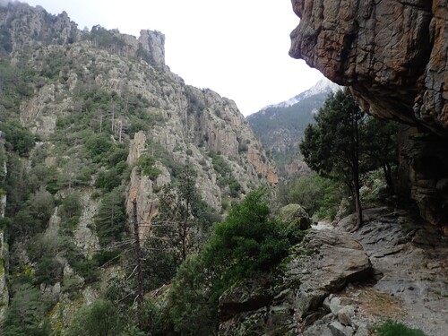 Les gorges du Tavignano 1