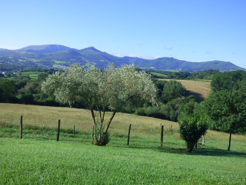 - Pays Basque