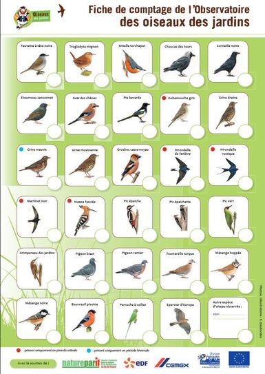 Les 24 et 25 janvier 2015, comptage national des oiseaux de jardins...