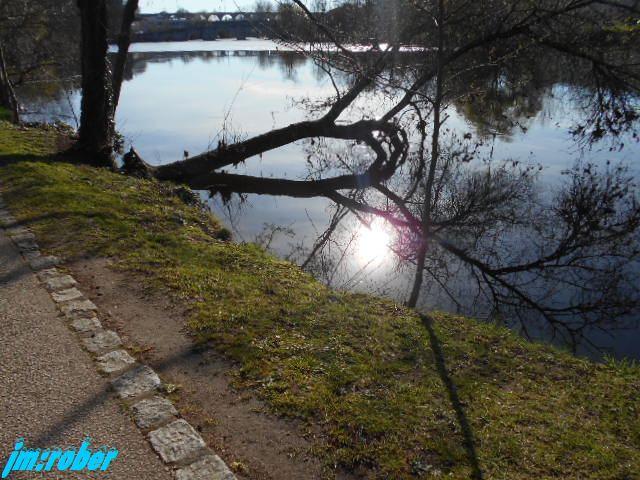 Balade printanière sur les bords de Vienne (2)