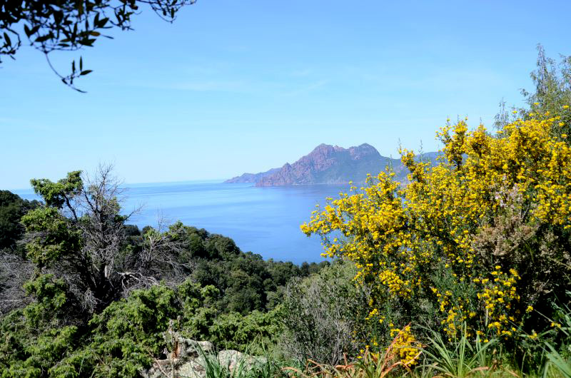 calanques piana corse schnoebelen