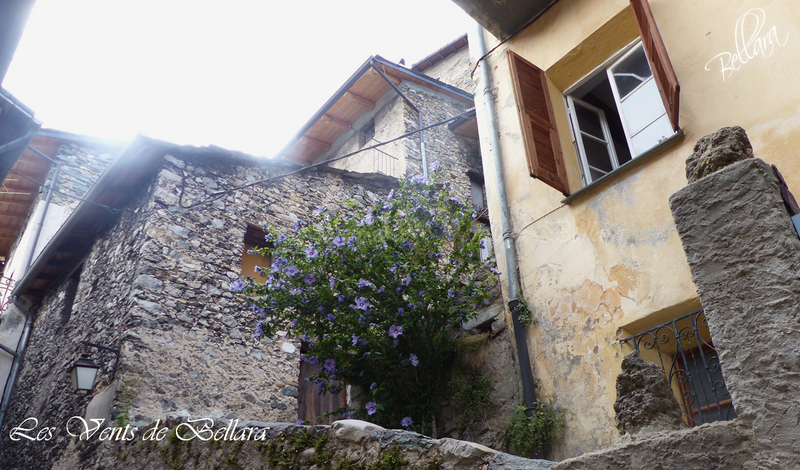 A la découverte du village médiéval de Tende - 8