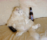 http://ekladata.com/w8-4iqXfWCuxLYnwa1N-1B6XM18.gif