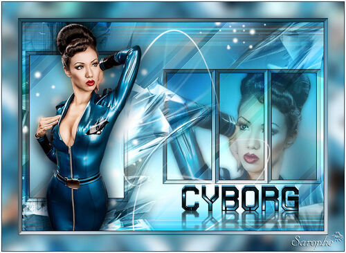 *** Cyborg ***