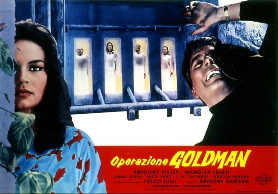 OPERATION-GOLDMAN-4.jpg