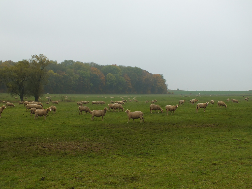 Mardi 07 Novembre 2017