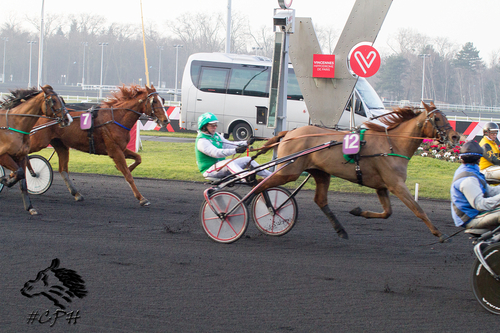 Prix des Vosges