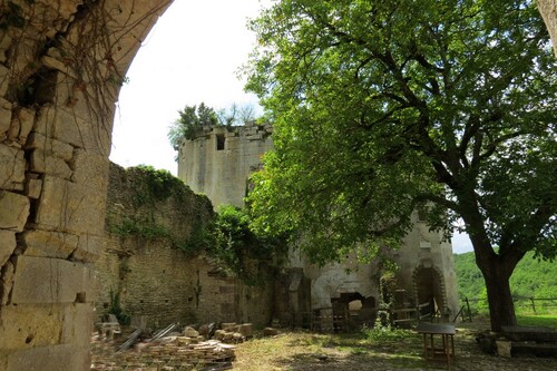 Quelques images du château de Rochefort à Asnières en montagne