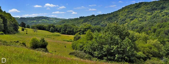 Vallée en été