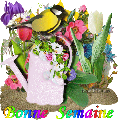 Gif Bonne semaine avec fleurs - arrosoir - et bel oiseau chantant - les gifs  animés de dentelledelune