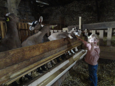 Blog de melimelodesptitsblanpain : Méli Mélo des p'tits Blanpain!, Souvenir d'un week-end... à la ferme!