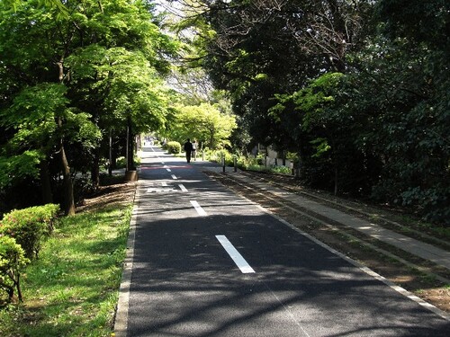 « Tree-Lined Path » pour flûte et tuba, un duo d'une minute