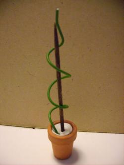 buis en spirale