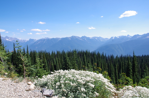 Jour 4 - De Kamloops à Golden (22 août)