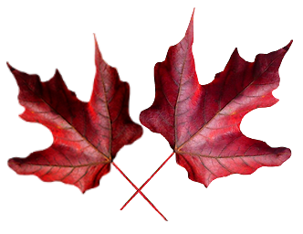 Tubes png feuilles