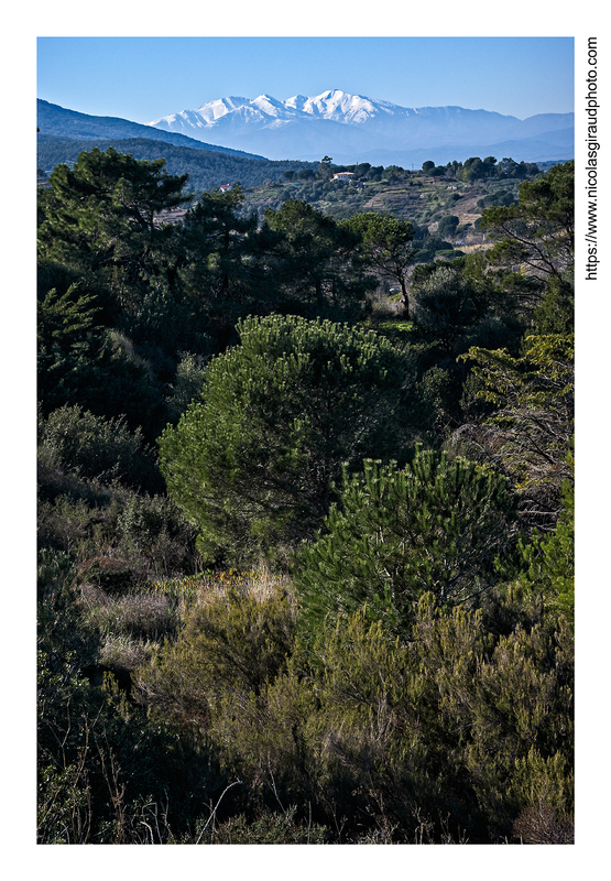 Côte sud de l'Occitanie du cap Leucate à Collioure