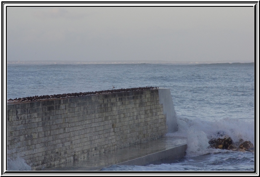 Toujours à St Denis d'Oléron mais sous la tempête 03 février 2014